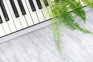 Image showing Electric piano keys and green fern leaves