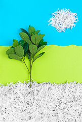 Image showing Tree growing in recycled shredded paper under blue sky