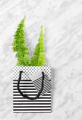Image showing Green fern branches in a gift bag on marble background