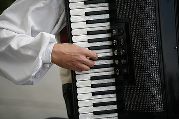 Image showing Accordion player