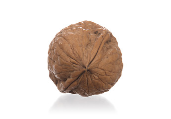 Image showing Walnut isolated on white background