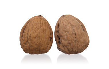 Image showing Walnut isolated on white background