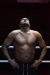 Image showing portrait of muscular professional kickboxer