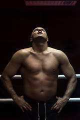 Image showing portrait of muscular professional kickboxer