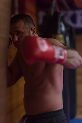 Image showing kick boxer training on a punching bag