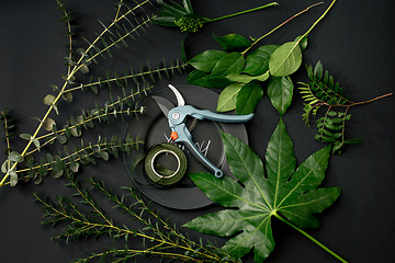 Image showing Tools and accessories florists need for making up a bouquet