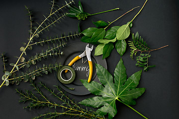 Image showing Tools and accessories florists need for making up a bouquet