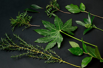 Image showing Tools and accessories florists need for making up a bouquet