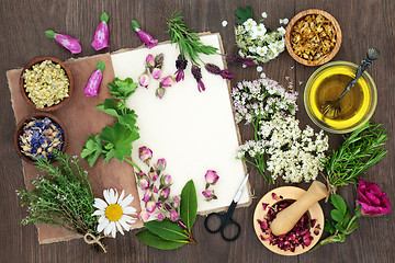 Image showing Herbal Medicine Selection