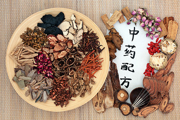 Image showing Acupuncture Therapy and Chinese Herbs