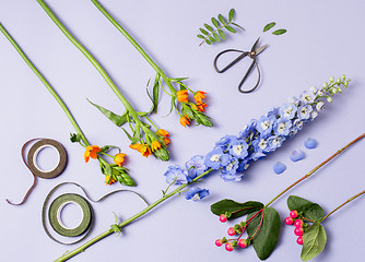 Image showing Tools and accessories florists need for making up a bouquet