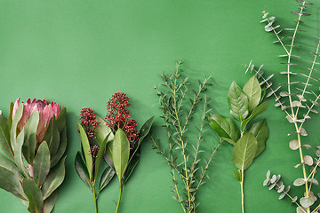 Image showing Tools and accessories florists need for making up a bouquet