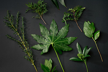 Image showing Tools and accessories florists need for making up a bouquet