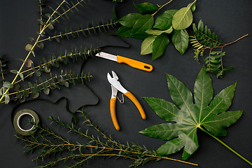 Image showing Tools and accessories florists need for making up a bouquet