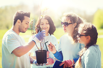 Image showing group of volunteers planting trees in park