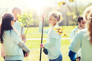 Image showing group of volunteers planting trees in park