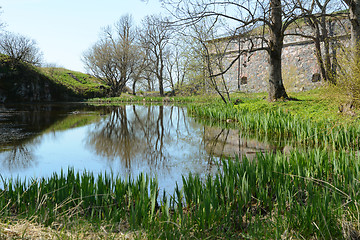 Image showing Still pond edged by green rushes on Suomenlinna island