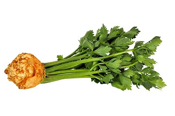 Image showing Celeriac on white