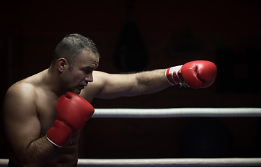 Image showing professional kickboxer in the training ring