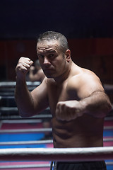Image showing professional kickboxer in the training ring