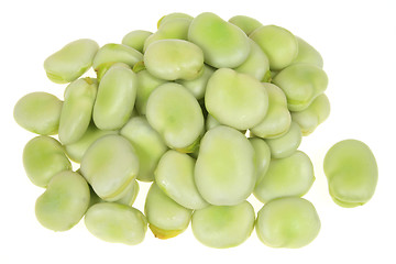 Image showing Broad beans