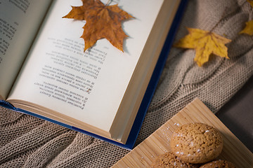 Image showing book with autumn leaf and cookies on home blanket