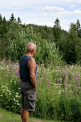 Image showing Man standing in a summer meadow