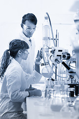 Image showing Young chemists researching in life science laboratory.