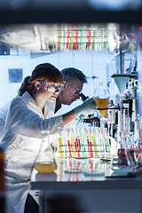 Image showing Health care researchers working in scientific laboratory.