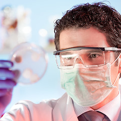 Image showing Life science researcher observing cells in petri dish.