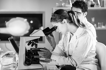 Image showing Life scientist researching in the laboratory.