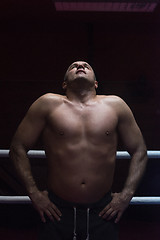 Image showing portrait of muscular professional kickboxer