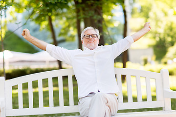 Image showing happy senior man in glasses sitting at summer park