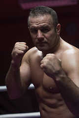 Image showing professional kickboxer in the training ring