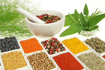 Image showing Herbs and spices