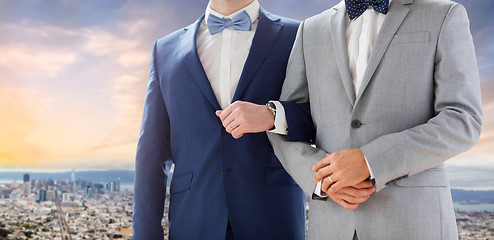 Image showing close up of male gay couple over san francisco