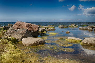 Image showing Baltic sea coast in summer vacation