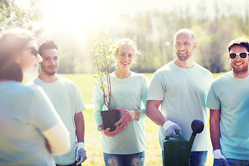 Image showing group of volunteers with tree seedling in park