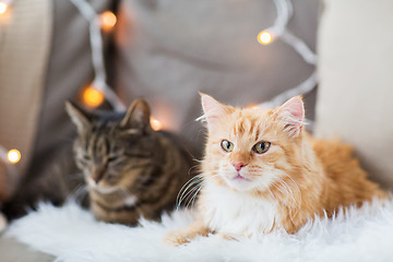 Image showing two cats lying on sofa with sheepskin at home