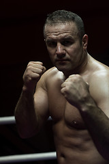 Image showing professional kickboxer in the training ring