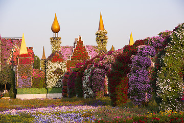 Image showing Dubai miracle garden