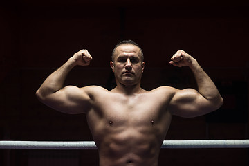 Image showing portrait of muscular professional kickboxer