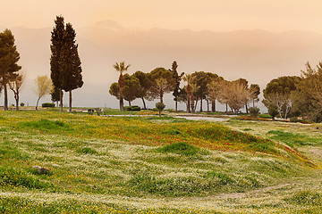 Image showing Park in Hierapolis near Pamukkale, Turkey