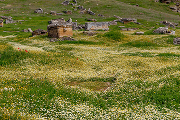 Image showing Ruins of ancient city, Hierapolis near Pamukkale, Turkey