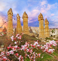 Image showing Spring in Love valley near Goreme, Turkey