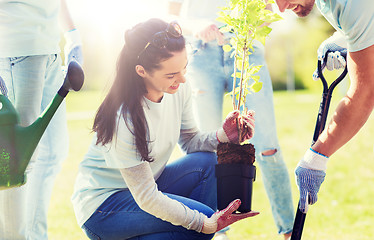 Image showing group of volunteers planting tree in park