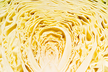 Image showing Cabbage Texture