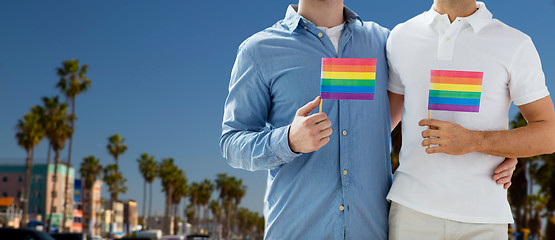 Image showing male couple with gay pride flags in los angeles