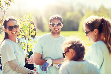 Image showing group of volunteers planting trees in park