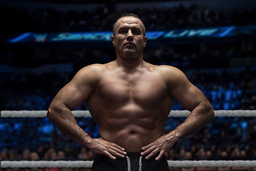 Image showing professional kickboxer in the training ring